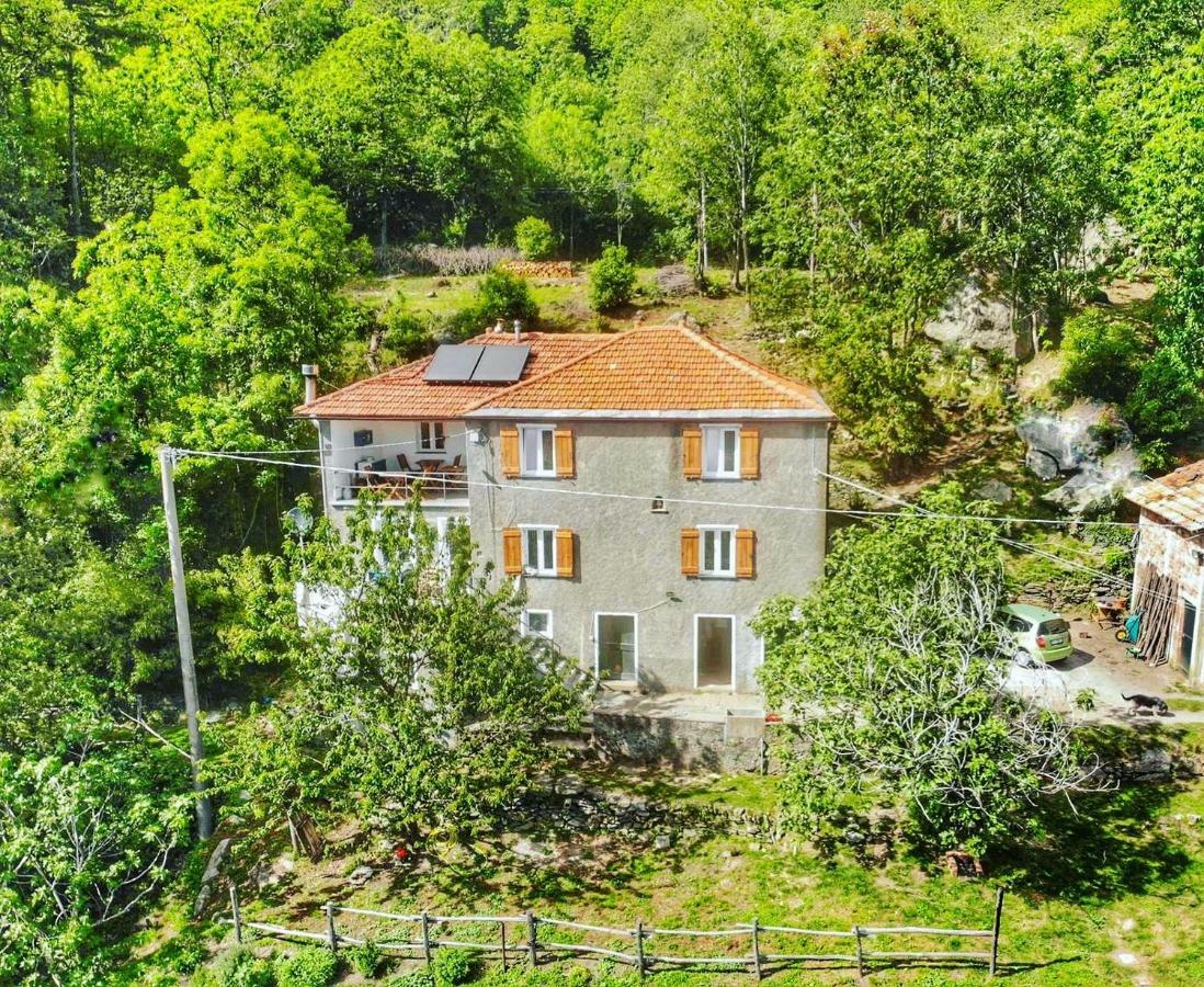 Berzuaia Bed & Breakfast Varazze Eksteriør bilde